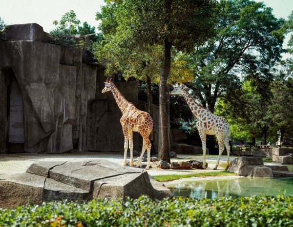 Neues E-Fahrzeug für den Heimattierpark